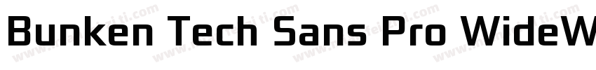 Bunken Tech Sans Pro WideW01SB字体转换